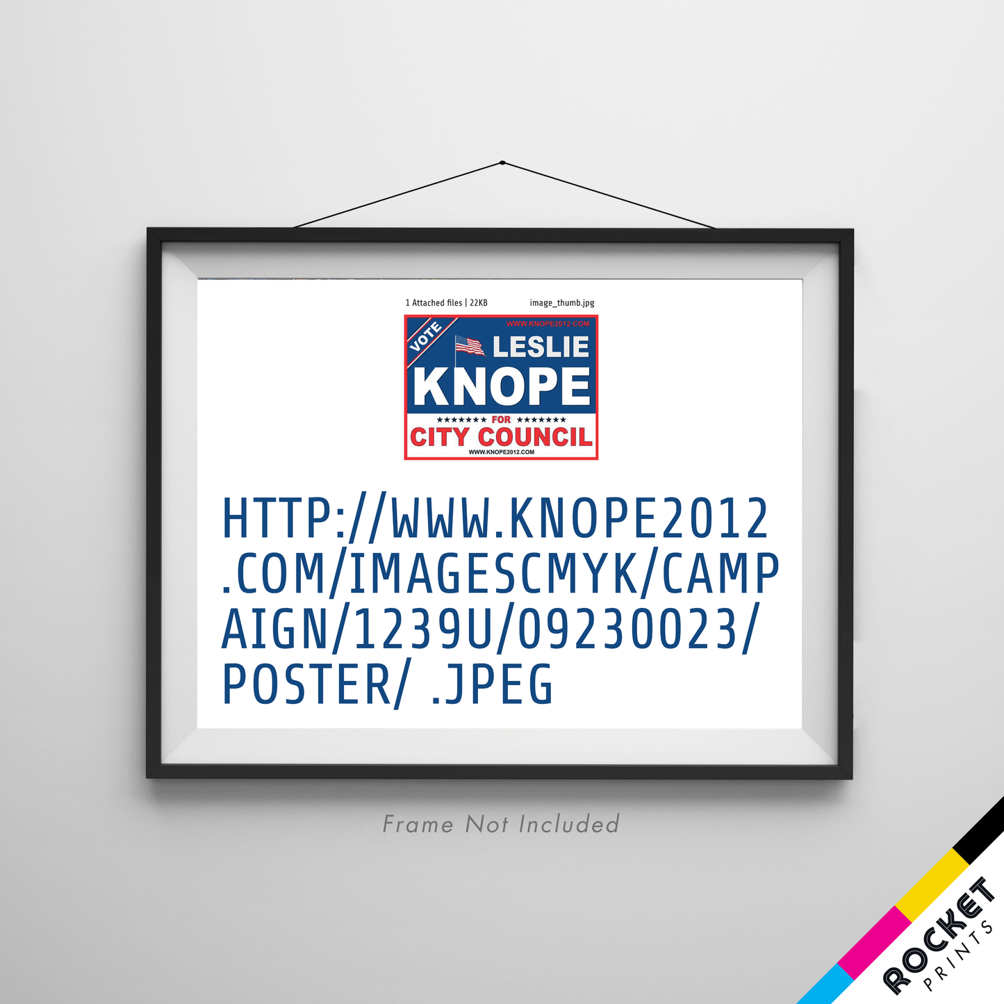 Leslie Knope City Council Screwed Up Sign Poster
